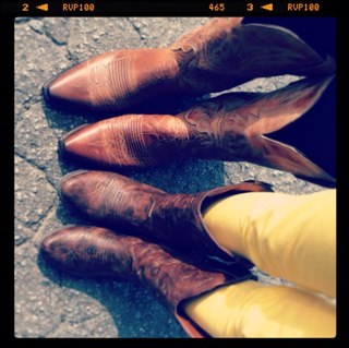 trstyf's profile picture. 