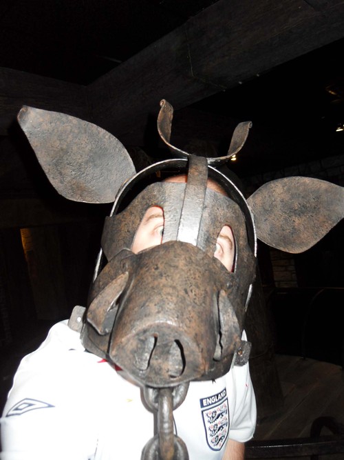 SiDog1984's profile picture. Beauty is in the hands of the recorder!