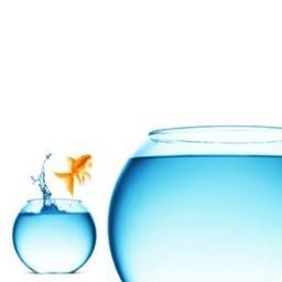 AbsoluteKnowing's profile picture. Every step is taken in one direction only.