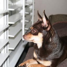 sjbi21's profile picture. 