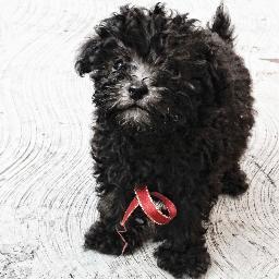 jorgema80257689's profile picture. 