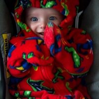 Jessica Barnes Kulp (@jvonch) 's Twitter Profile