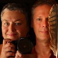 Listening Earth (@listeningearth) 's Twitter Profile