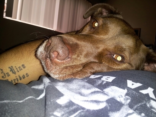 veterinary technician; lover not a fighter; stoic, memento mori, memento vivere; socialist