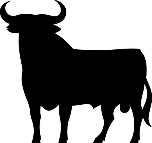 SpainVine Profile Picture