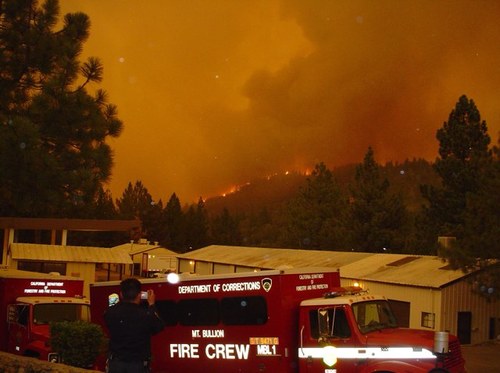 tgbullion39's profile picture. 