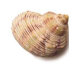 JamieCreasy's profile picture. 