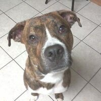 roger k tucker (@roodie81) 's Twitter Profile