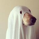 Karla Rock Roll - @KaRockRoll - Twitter