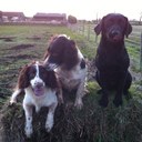 Carl Anker  - @carl_anker - Twitter