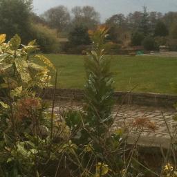 Over 50 years in landscaping  we've created 1000's of beautiful gardens in Cheshire. Call John 01565 722921 for a free quote and help with design and build
