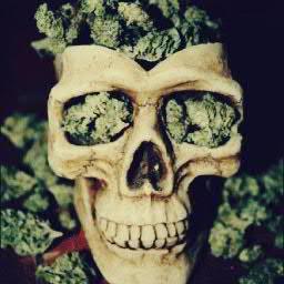 Avenger1241's profile picture. 