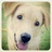 hammy0501's profile image