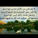 om-osamah (@5869A) Twitter