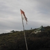 pandir (@pakarpandir) Twitter profile photo