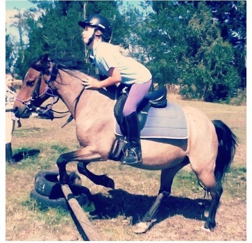 Hiiii, im janine and i am in love with horses! Follow me! :3 xo