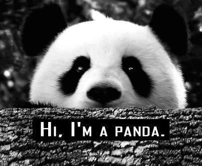 Haat aan random tweets. **Geen tieneraccount.** 100% normaal ** LOVE PANDA'S ** #TeamBrandas