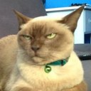 Tricia Edwards - @TrishaEdwards - Twitter