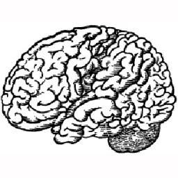 BrainStoreNYC's profile picture. We delight our customers through fresh ideas brought to life. And we have a good time doing so.