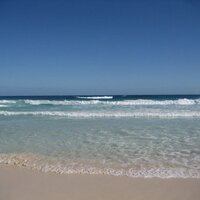 Tanya Castellarin (@tanya123456rob) 's Twitter Profile