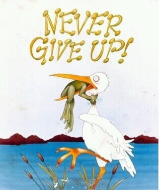 licyu100's profile picture. 