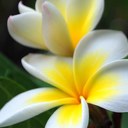 Eileen Simms - @SimmsEileen - Twitter