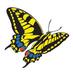 Swallowtail Print (@swallowtailprin) Twitter profile photo