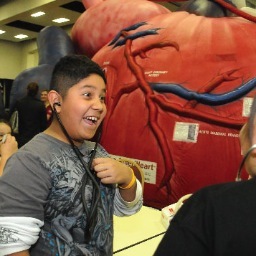 Home of the AmeriHeart, AmeriBreasts, AmeriLungs + Heart & AmeriBrain exhibits. We create inflatable medical exhibits that show the workings of the human body.