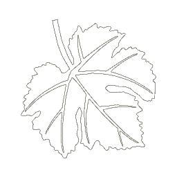 VinaliCosmetica's profile picture. Viñali is a vino-cosmetics and skincare brand that applies the qualities of the natural active ingredients found in grapes to high-end cosmetics.