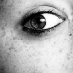 emiravitlles's profile picture. 