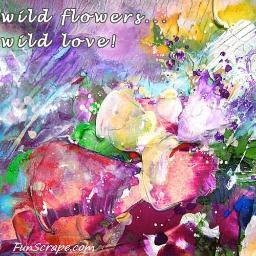 lilianez91's profile picture. 