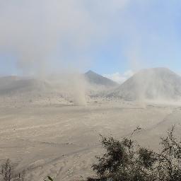 Starryghost's profile picture. 