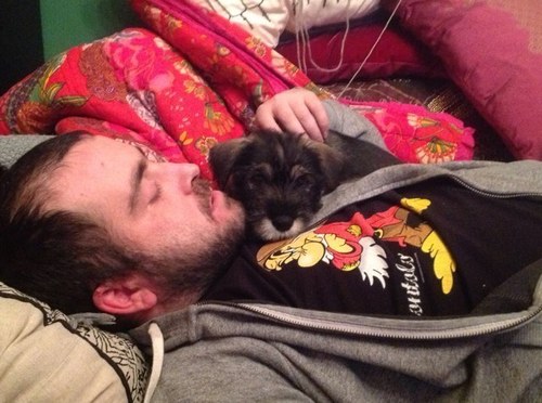 AldiniDavide's profile picture. 