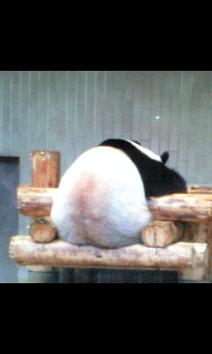 やましさんのプロフィール画像