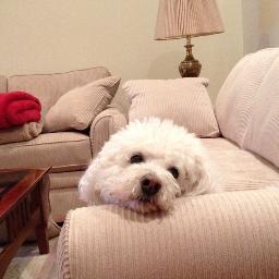 annmsteinbach's profile picture. 