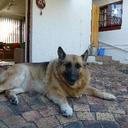 Jean Greenfield - @2greenfields - Twitter