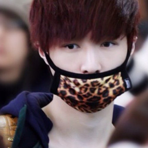 EXO-M Lay bot。
