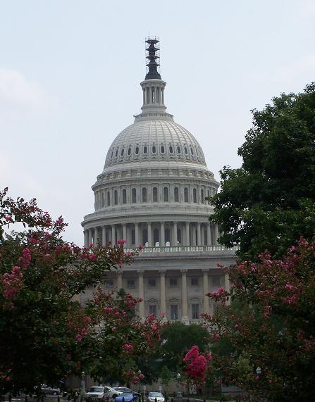 mindofmoe's profile picture. Thinking out loud.