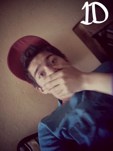 erickmalik25's profile picture. soy fan de one direction por eso soy directioner boy