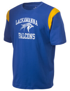 http://t.co/4AR9DbAqOf is Lackawanna College Falcons Baseball News.