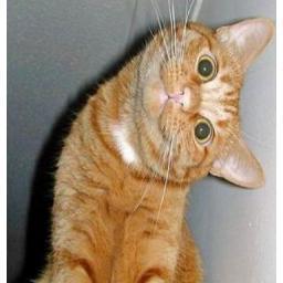 sokratone1's profile picture. Мультики - это замечательно!! :)
#Взаимный_Фолловинг / #FollowBack