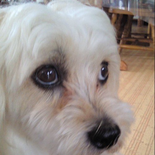 ichimuan1543's profile picture. 