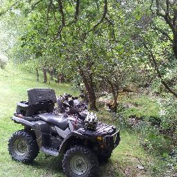 dobarrofelix's profile picture. 