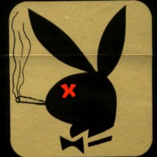 BunniTokes's profile picture. Not so ordinary stoner chick #StonerNation