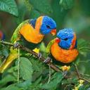 mohamad (@0568740400) Twitter