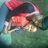 DJ_Mooketsi's profile image