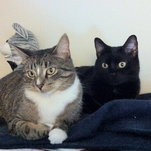 pat72842's profile picture. 