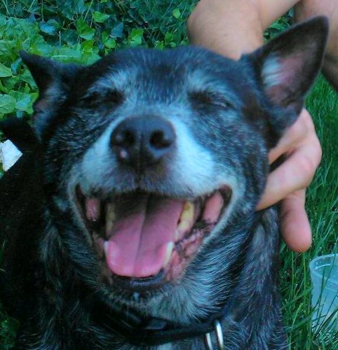 tbad4u08's profile picture. 