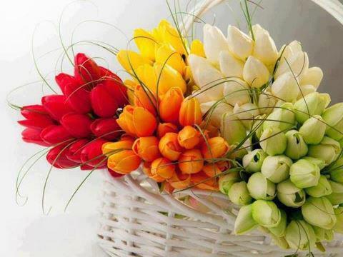 faroukbouasse's profile picture. Love me when I least deserve it, for that's when I most need it.