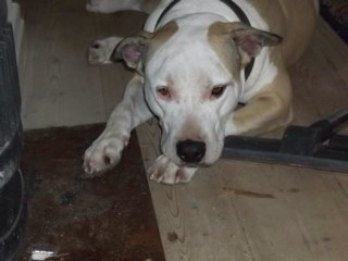 MarieMl12's profile picture. 